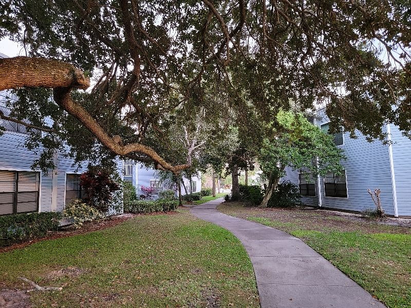 Furnished Finder property 344656_1 photo 31