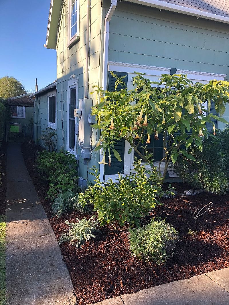 Walkway to the studio, located behind main house at 1116 C St.