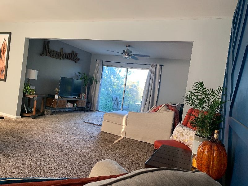 Furnished Finder property 345009_1 photo 3