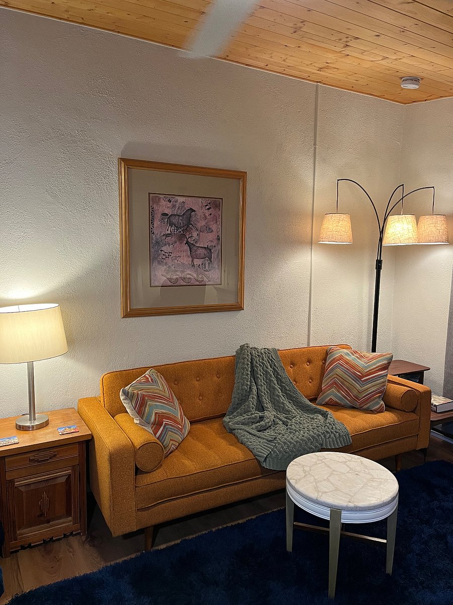 Mid century modern style sofa is a spare bed for a guest