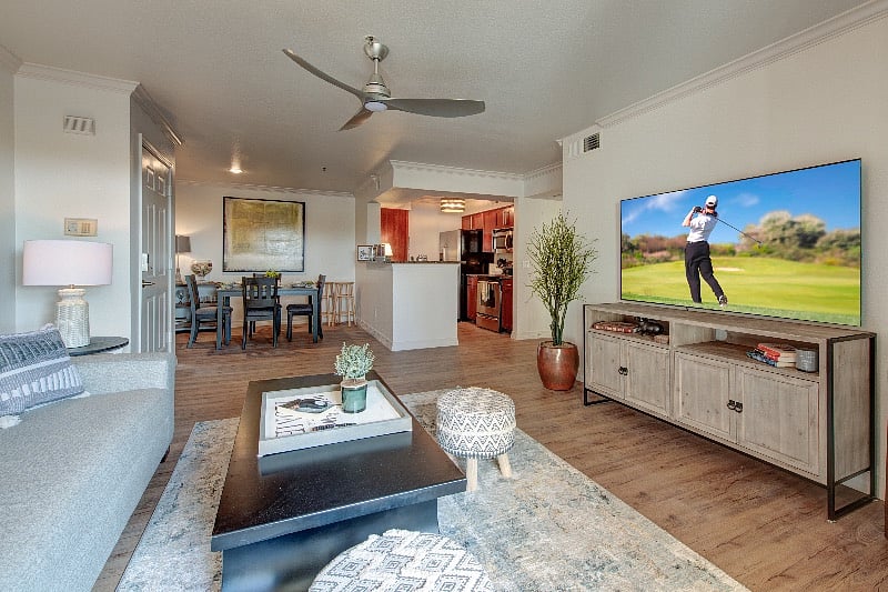 Furnished Finder property 345166_1 photo 4