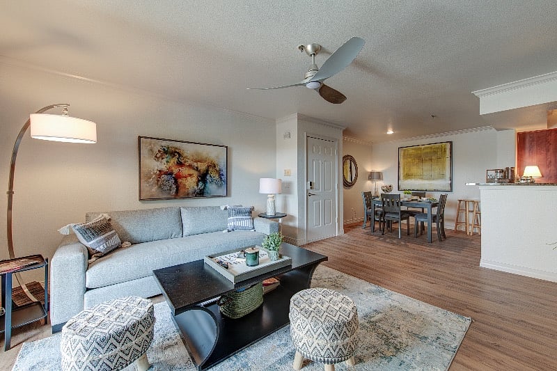 Furnished Finder property 345166_1 photo 5