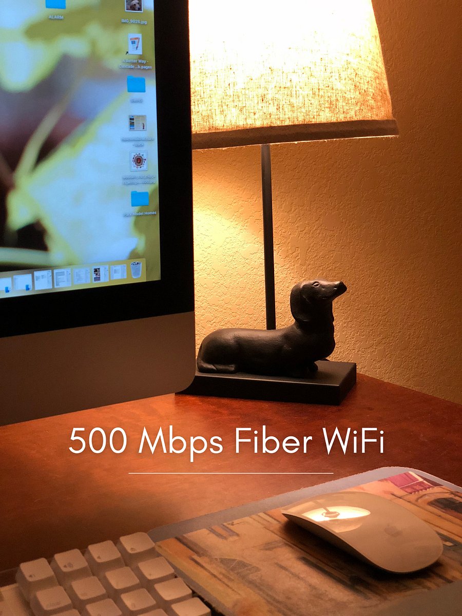 High-speed fiber internet with mesh system for fast Wifi throughout the house.