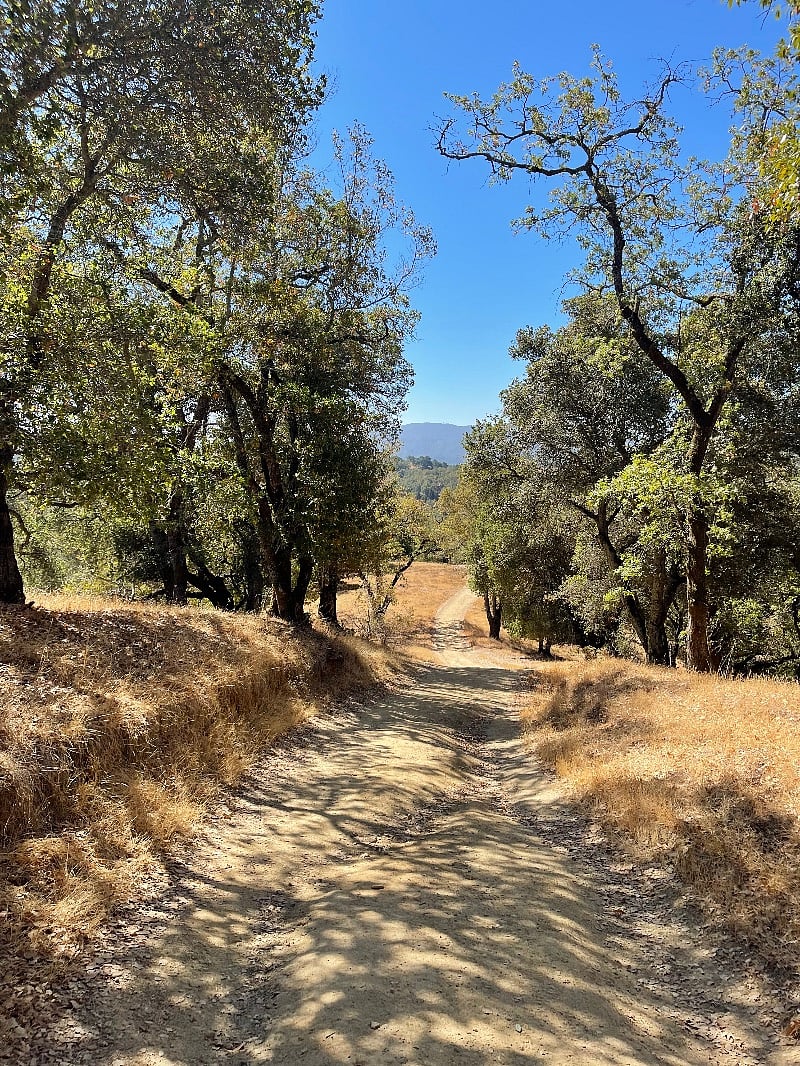 The neighborhood sits tucked away in a private valley, yet is within walking distance of Highway 101. This is one of the hiking trails right in your backyard!