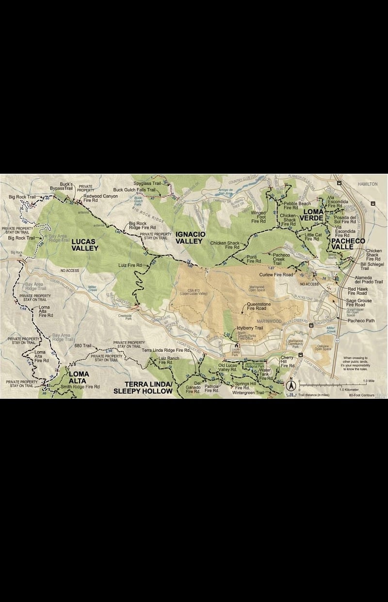 Your home will be very close to grocery stores, restaurants, multiple fast food establishments, PetCo, gas stations, Target, and so much more! I've hosted travelers for many years, mostly associated with Kaiser San Rafael, Novato Community Hospital, and MarinHealth Greenbrae Hospital.