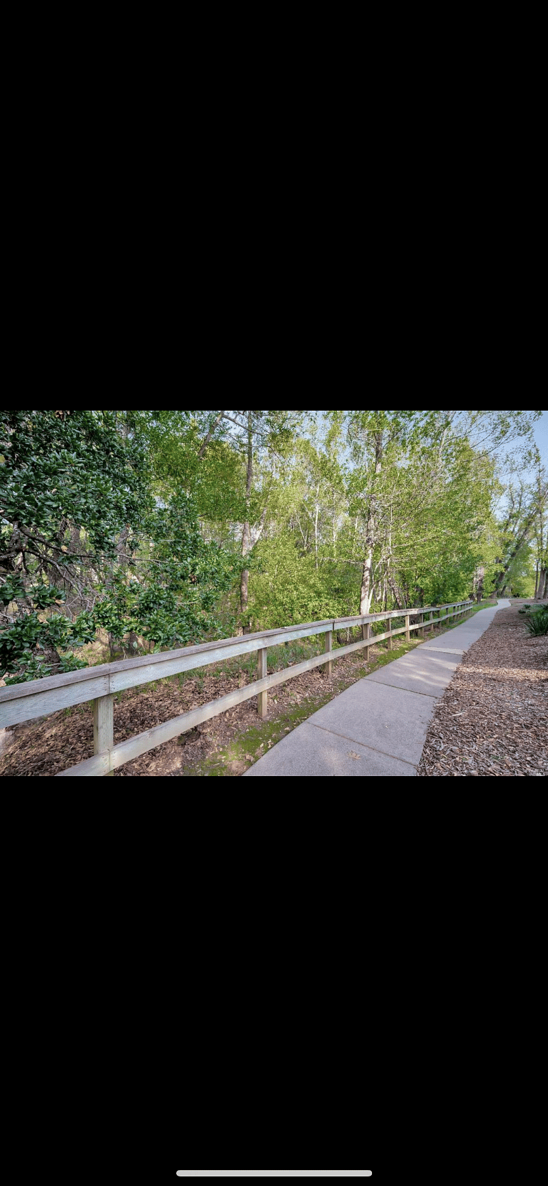 The walking trail behind the condo!
