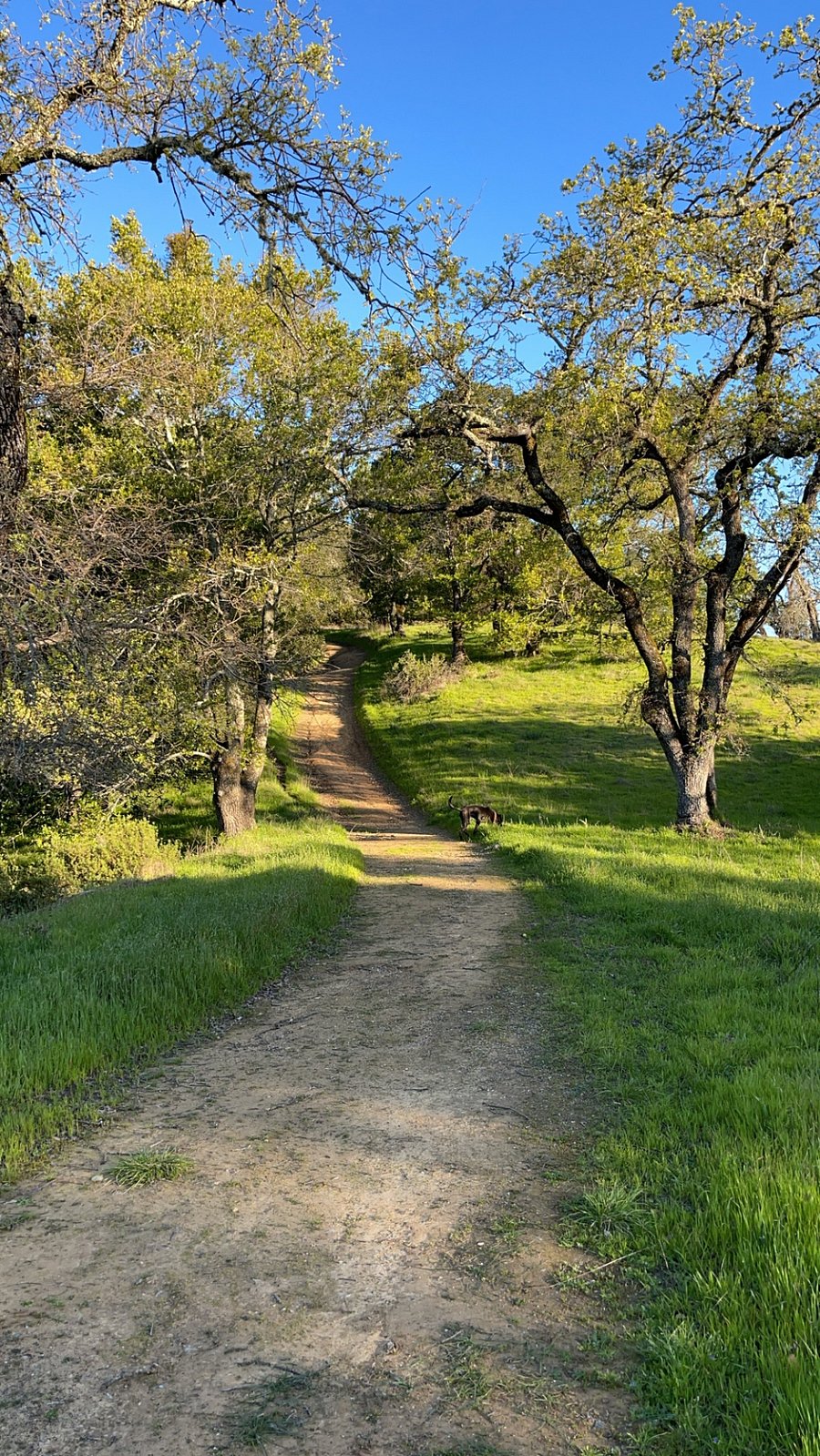Enjoy the trails within walking distance of your home.