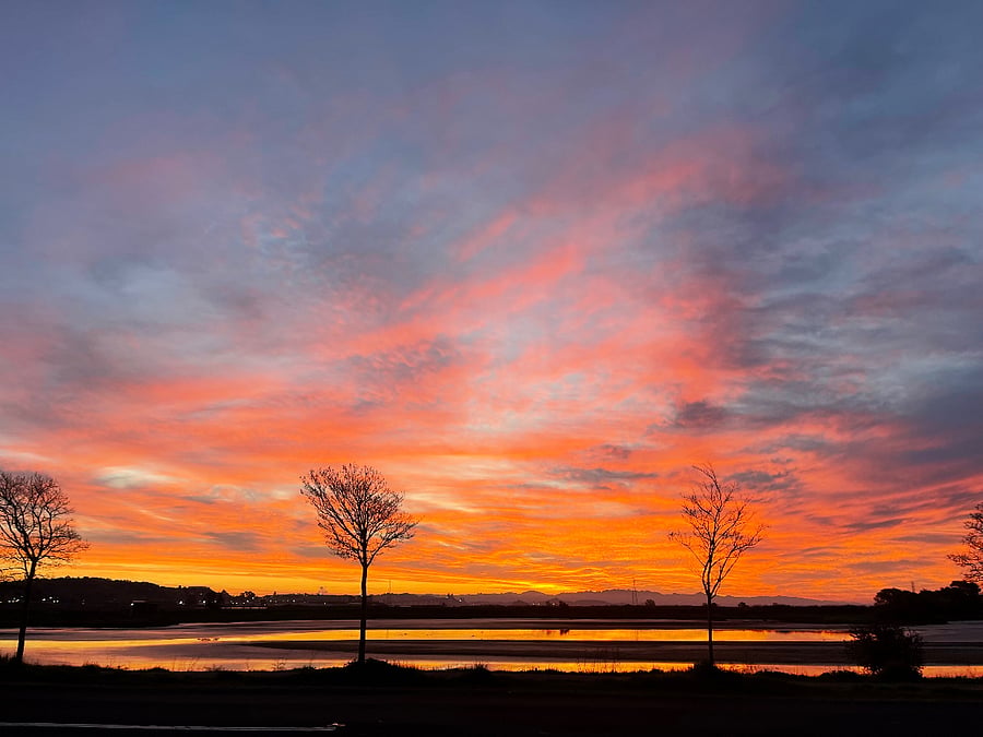Come experience Marin County sunrises like this almost daily!