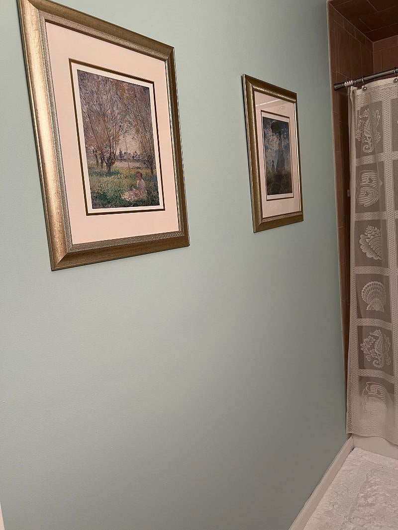 Hall bathroom