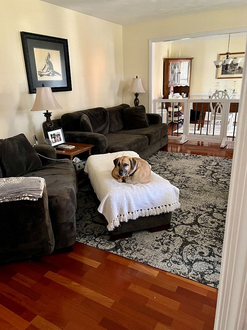 Formal living room (also has a 58" smart TV).