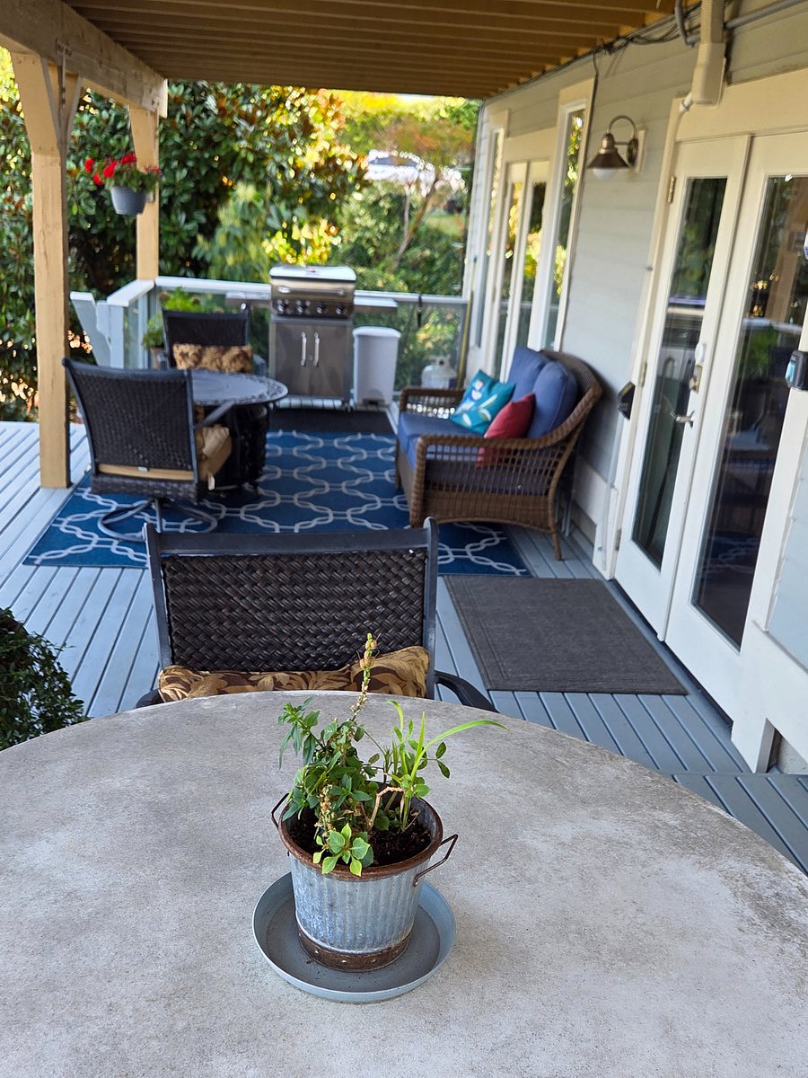 Furnished Finder property 345583_1 photo 13
