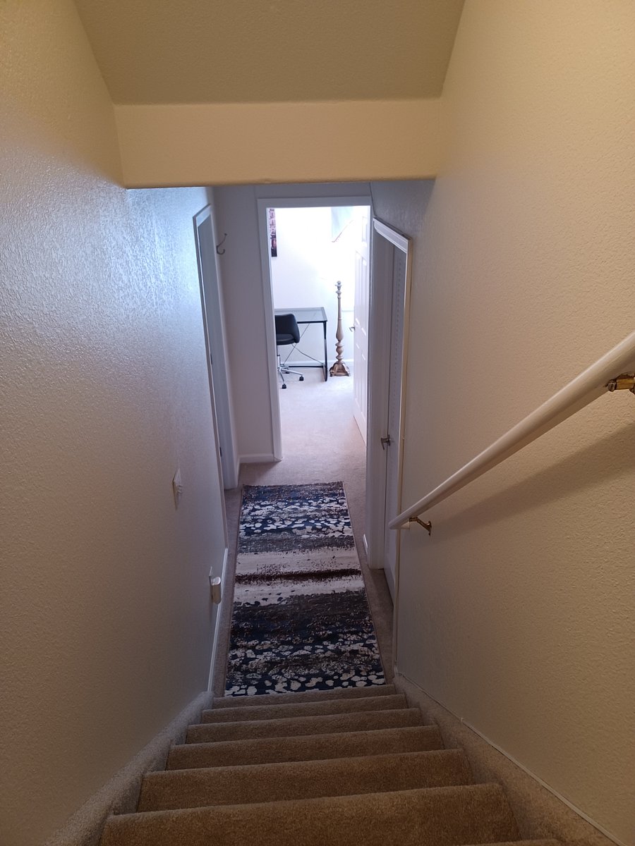 Furnished Finder property 345637_1 photo 13