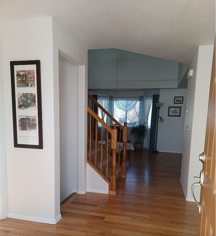 Furnished Finder property 345637_2 photo 12