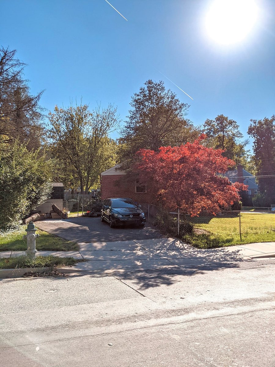 Furnished Finder property 345746_2 photo 14