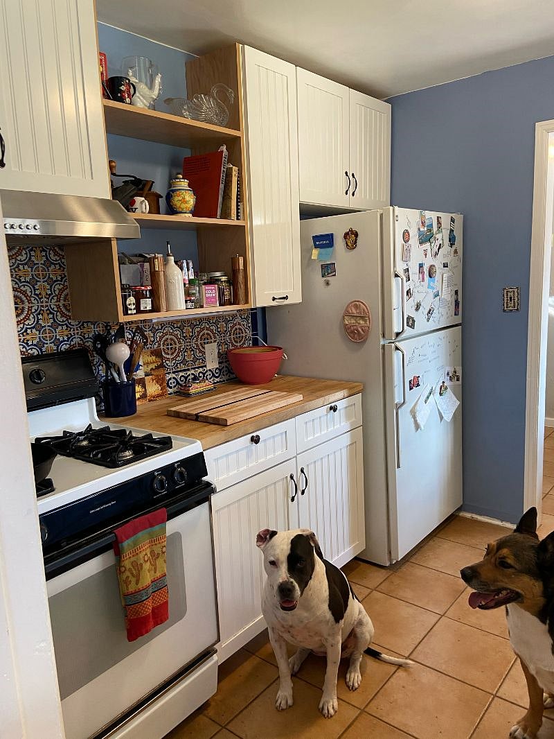 Reilly and Chief enjoy when we cook!