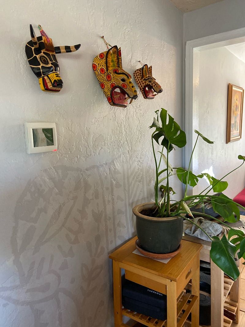 We do have houseplants that require watering