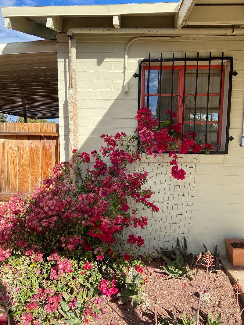 Side wall leading to the carport