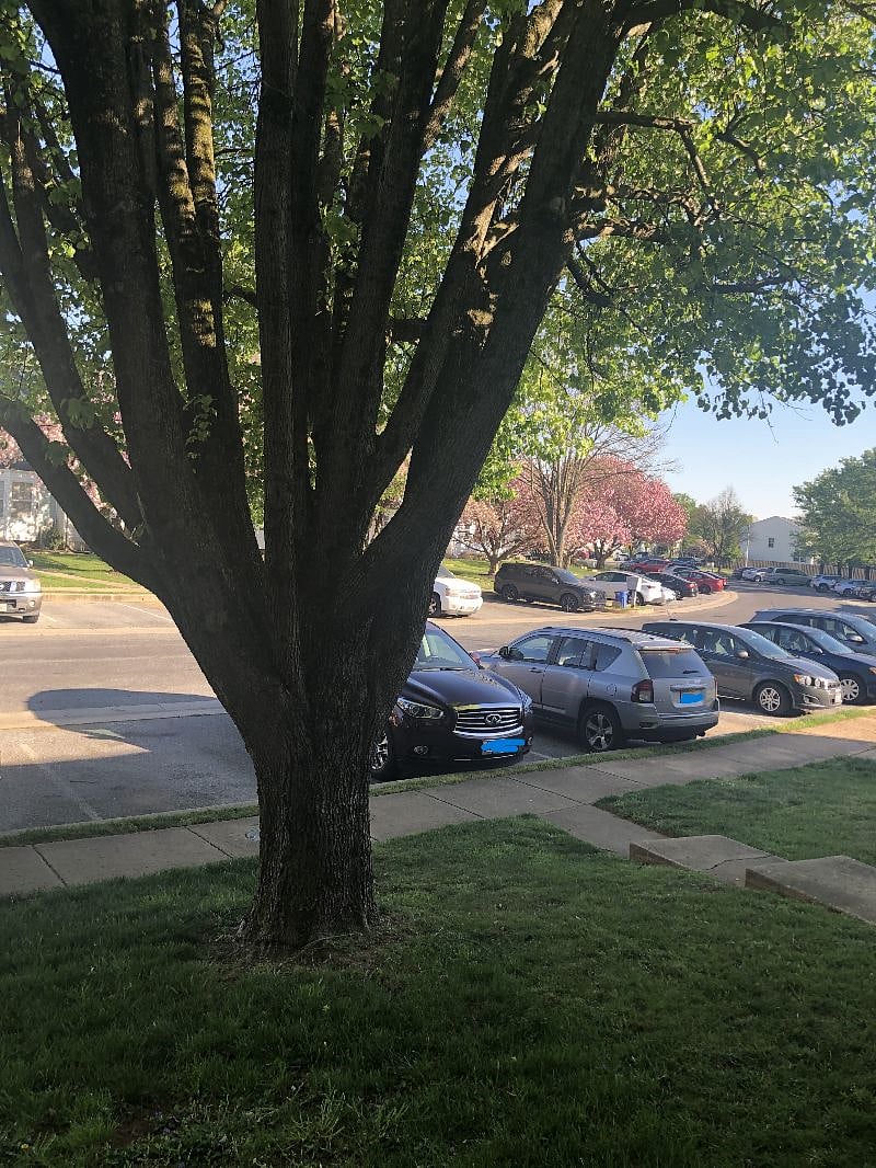 2 assigned parking spaces in front of the house