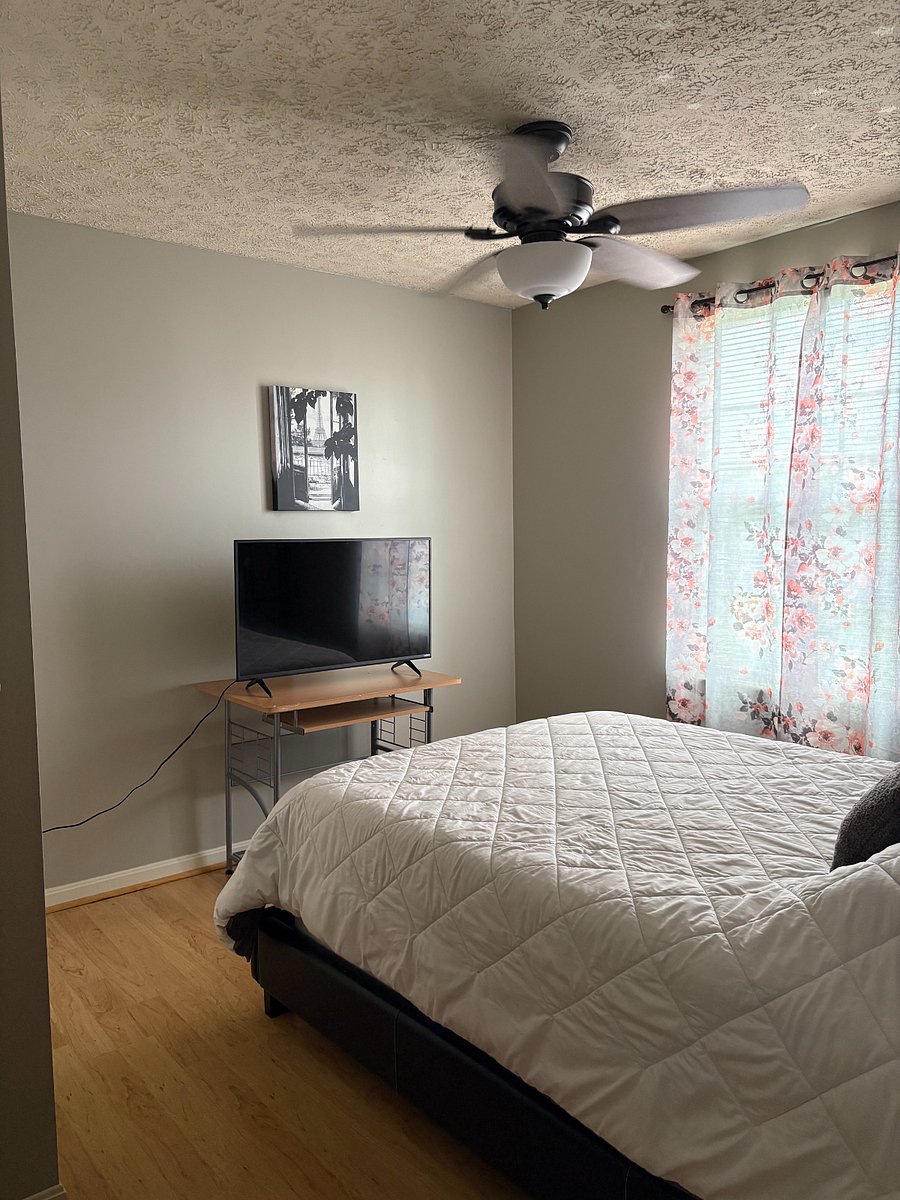 Furnished Finder property 346125_1 photo 12