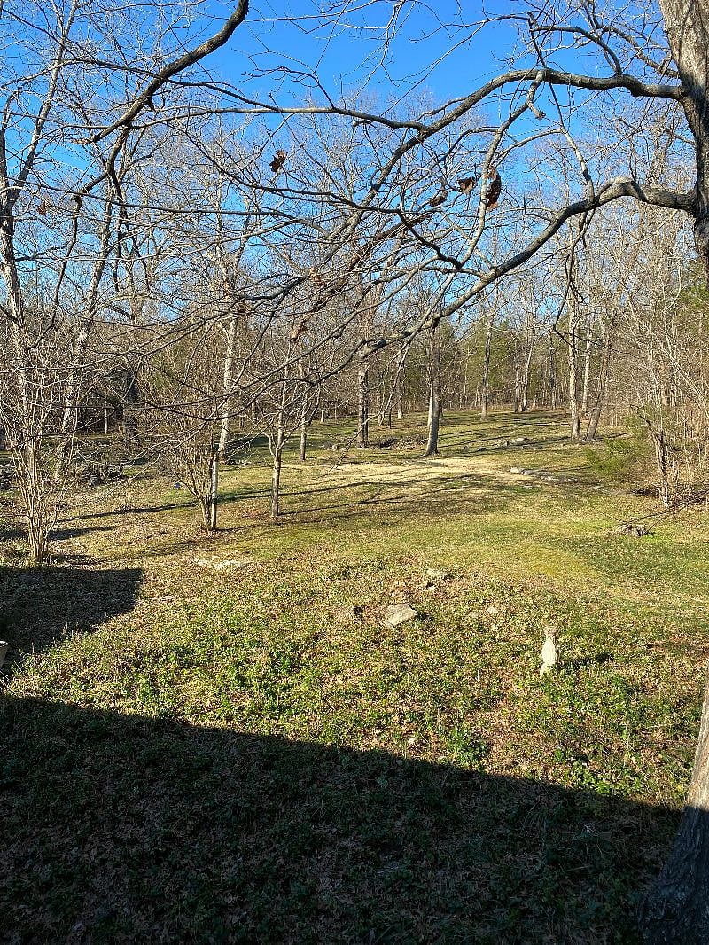 Picture of private back yard from upstairs deck 