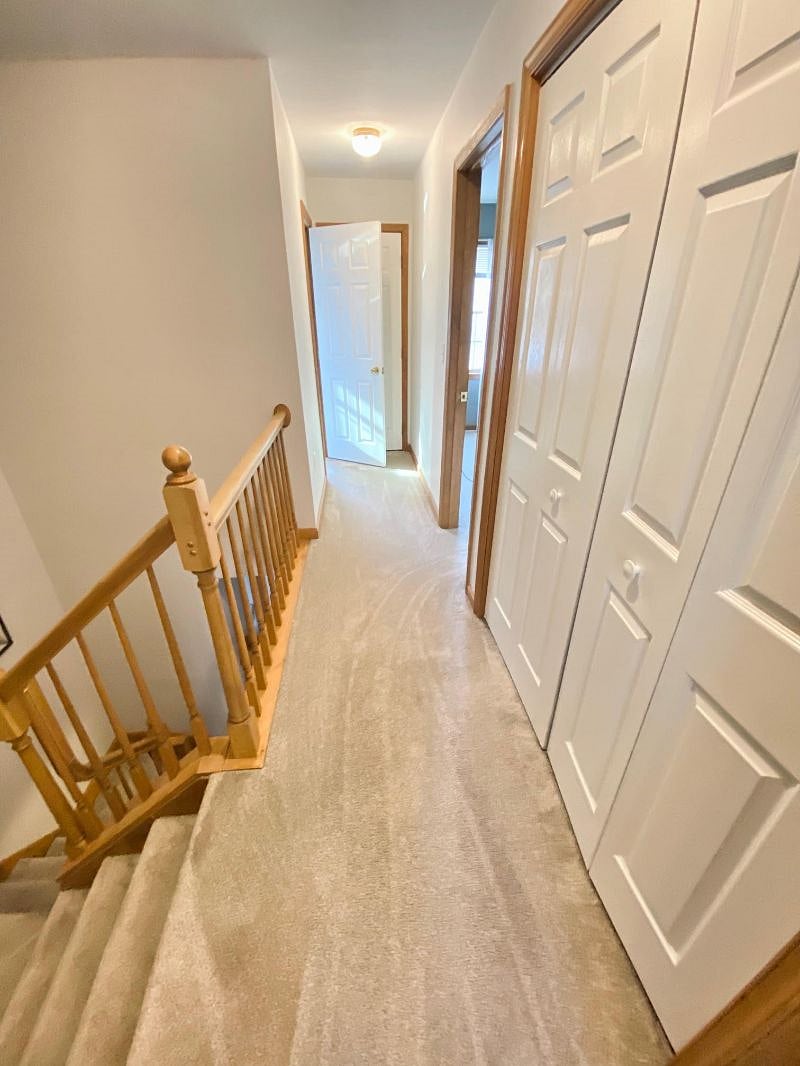 Furnished Finder property 346556_1 photo 11