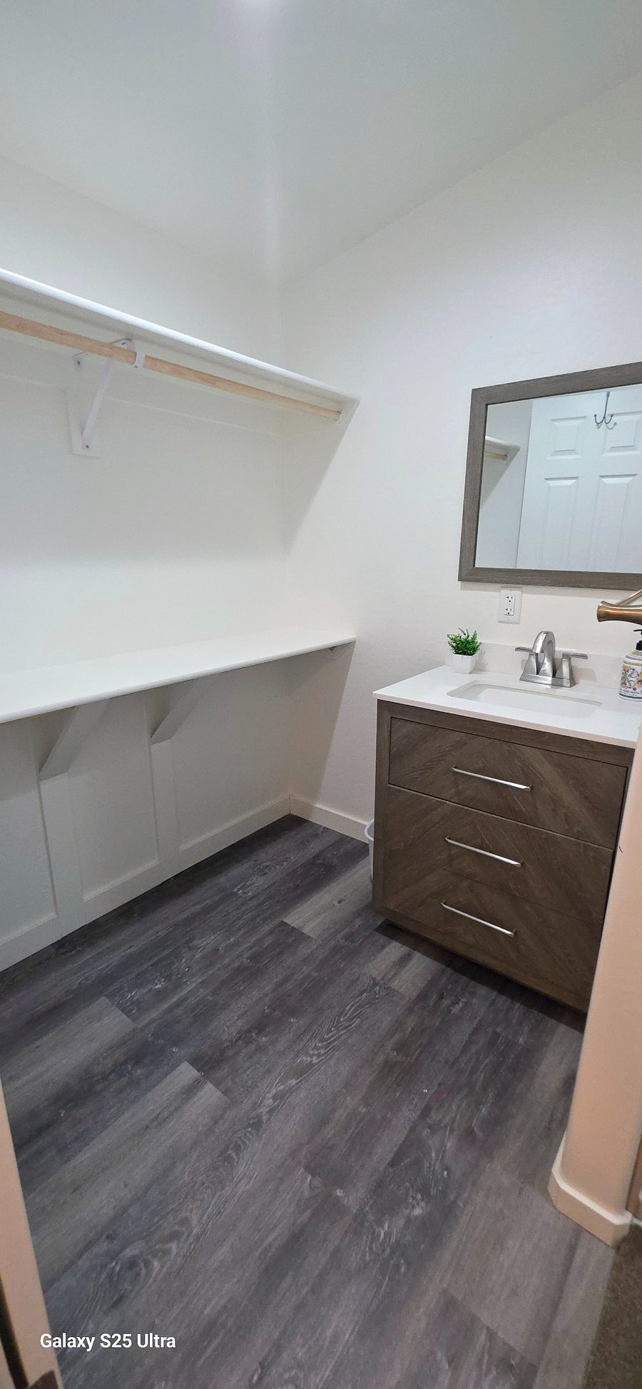 Master bathroom vanity and closet