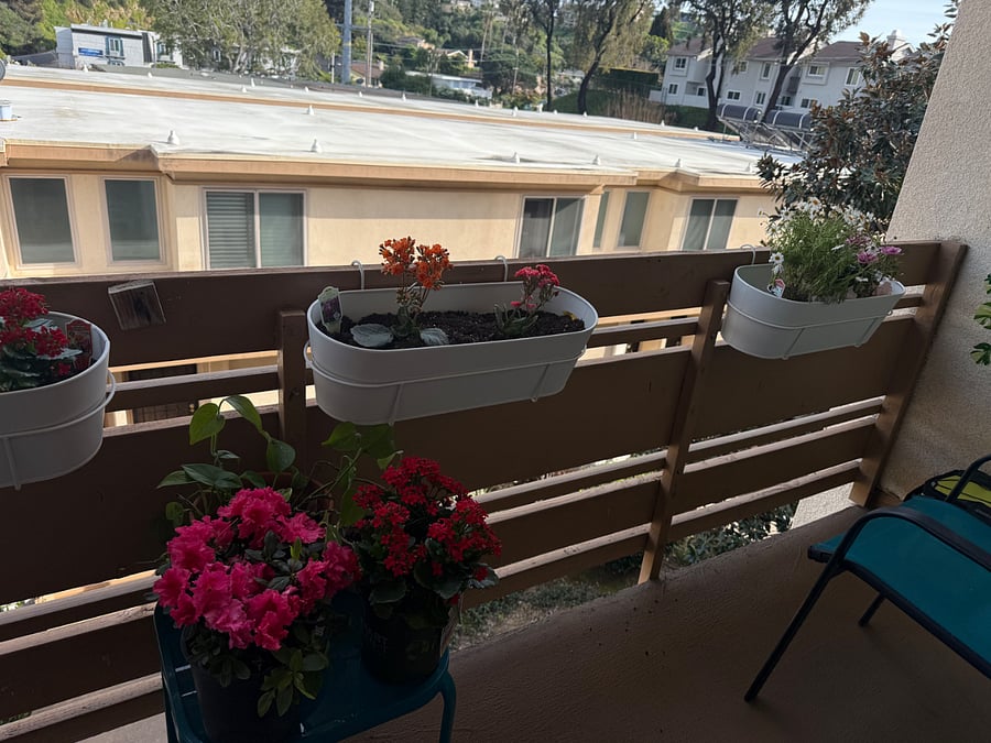 Furnished Finder property 346943_1 photo 9