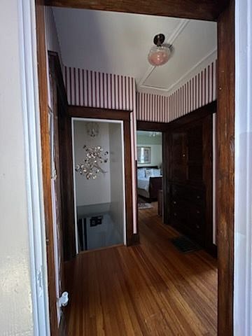 Furnished Finder property 347086_1 photo 3