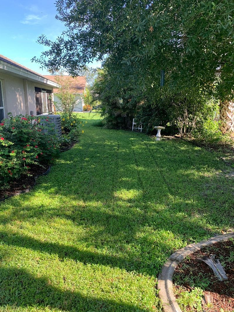 Back yard.