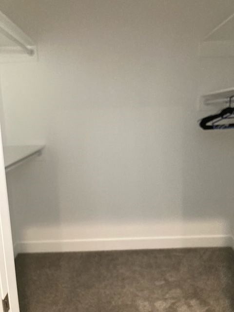 Master walk-in closet