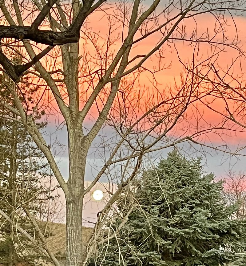 Sunrise from the back deckView