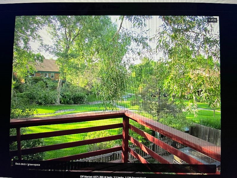 View from back deck
