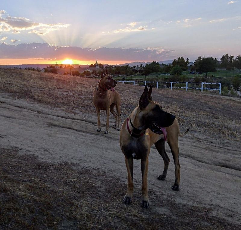 Sunset hikes.
