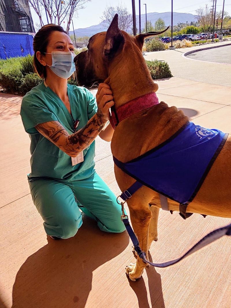 Zamara and I work at Temecula Valley Hospital as a Dog Therapy Team bring joy and calm to employees. 