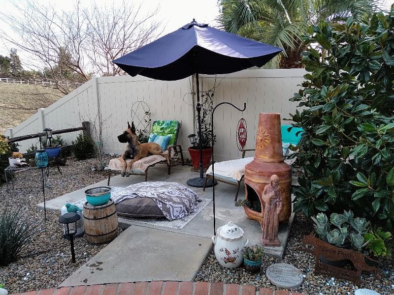 Backyard area to watch nature and relax.