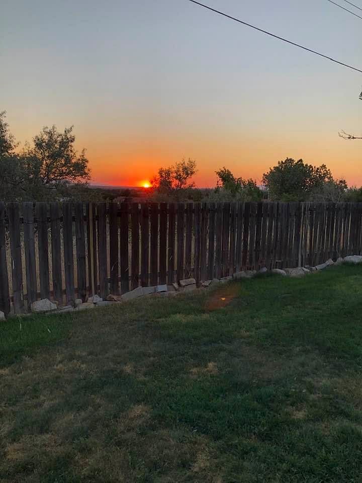 View from the backyard