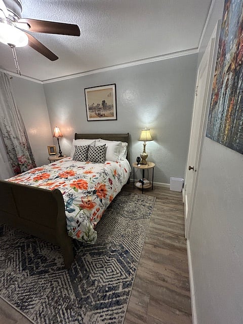 Furnished Finder property 347663_1 photo 15