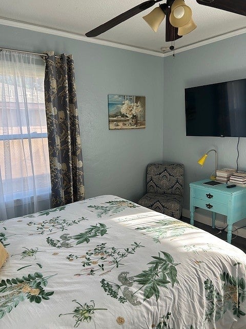 Furnished Finder property 347663_3 photo 12