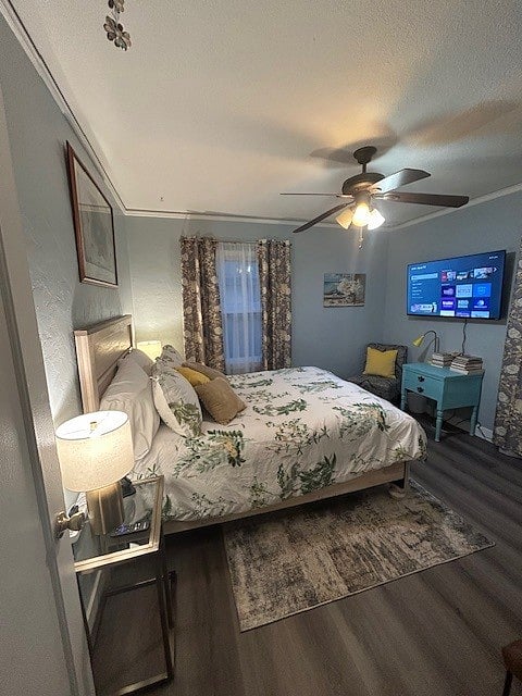 Furnished Finder property 347663_3 photo 13