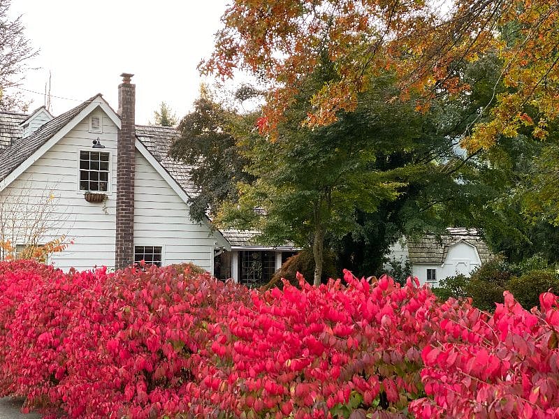 Beautiful Grounds in Any Season.