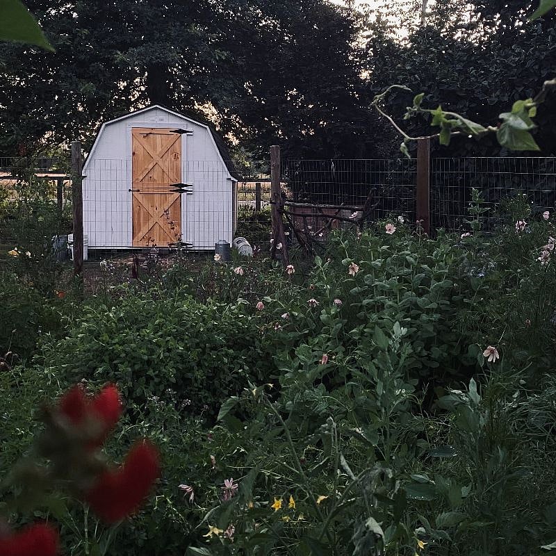 Vegetable Garden & Chicken Coop