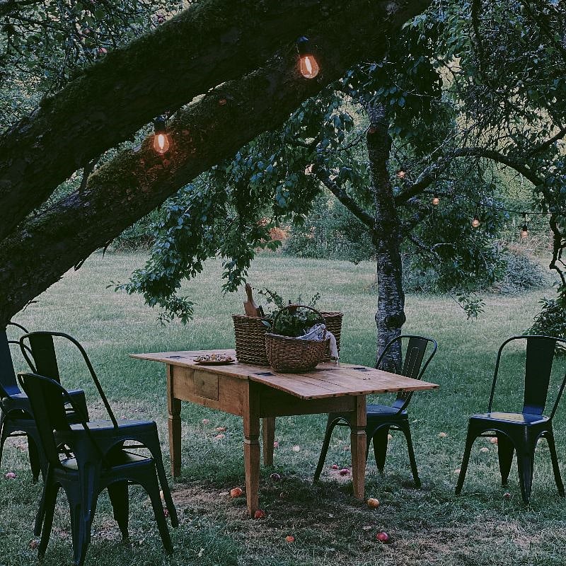 Space for Hosting. Orchard has Cherries, Apples, Plums, Pears, & Peaches in the Summer & Fall.