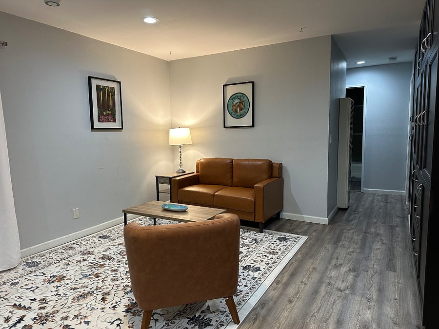 Summer 2025, new couch, chair, rug