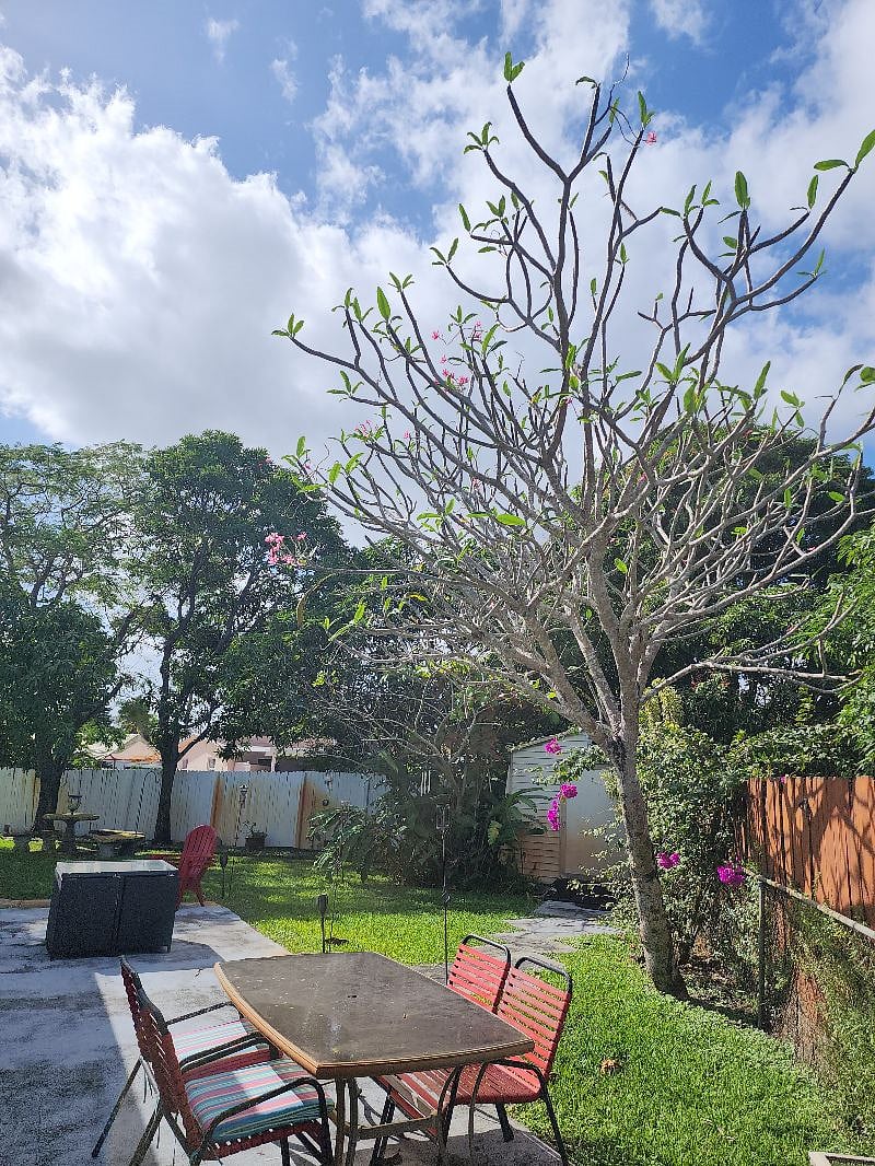 Extra large private fenced in back yard and rear patio