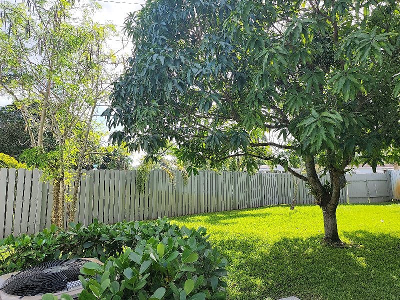 Fenced back yard