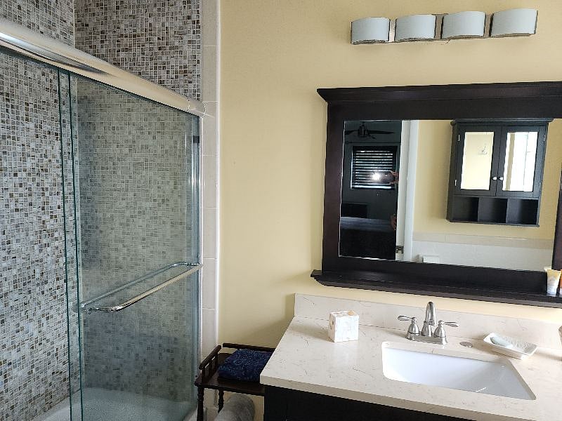 Master Bathroom tub and shower