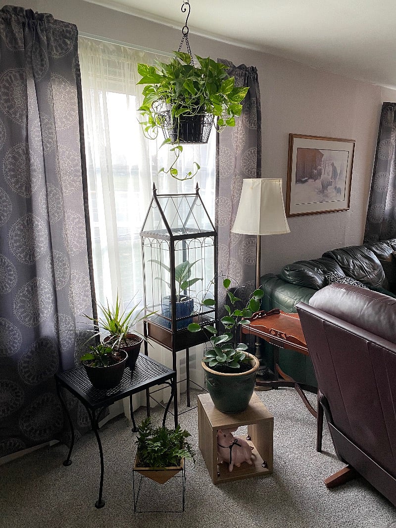 Furnished Finder property 348212_1 photo 9