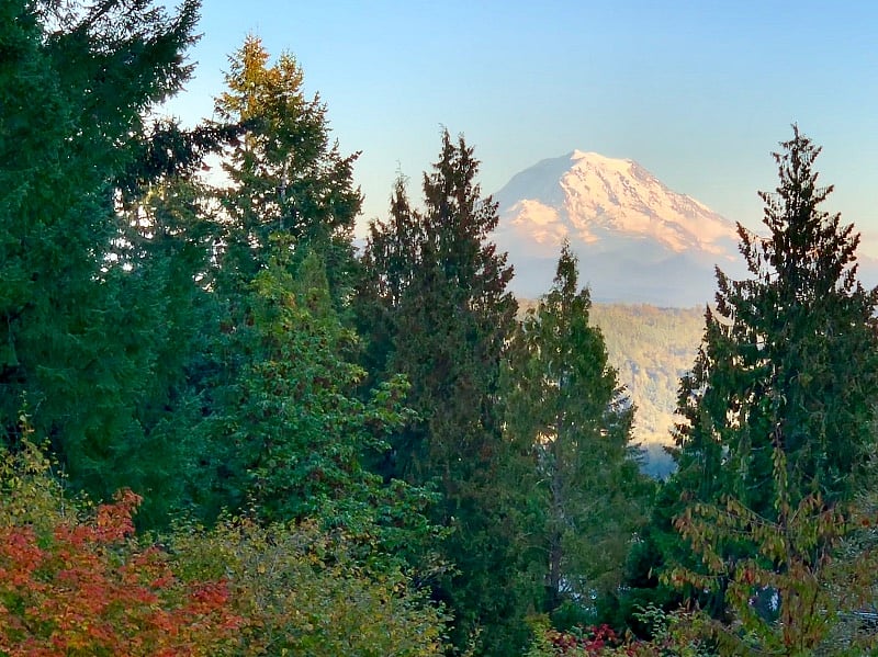 Rainier view from the deck outside living room window