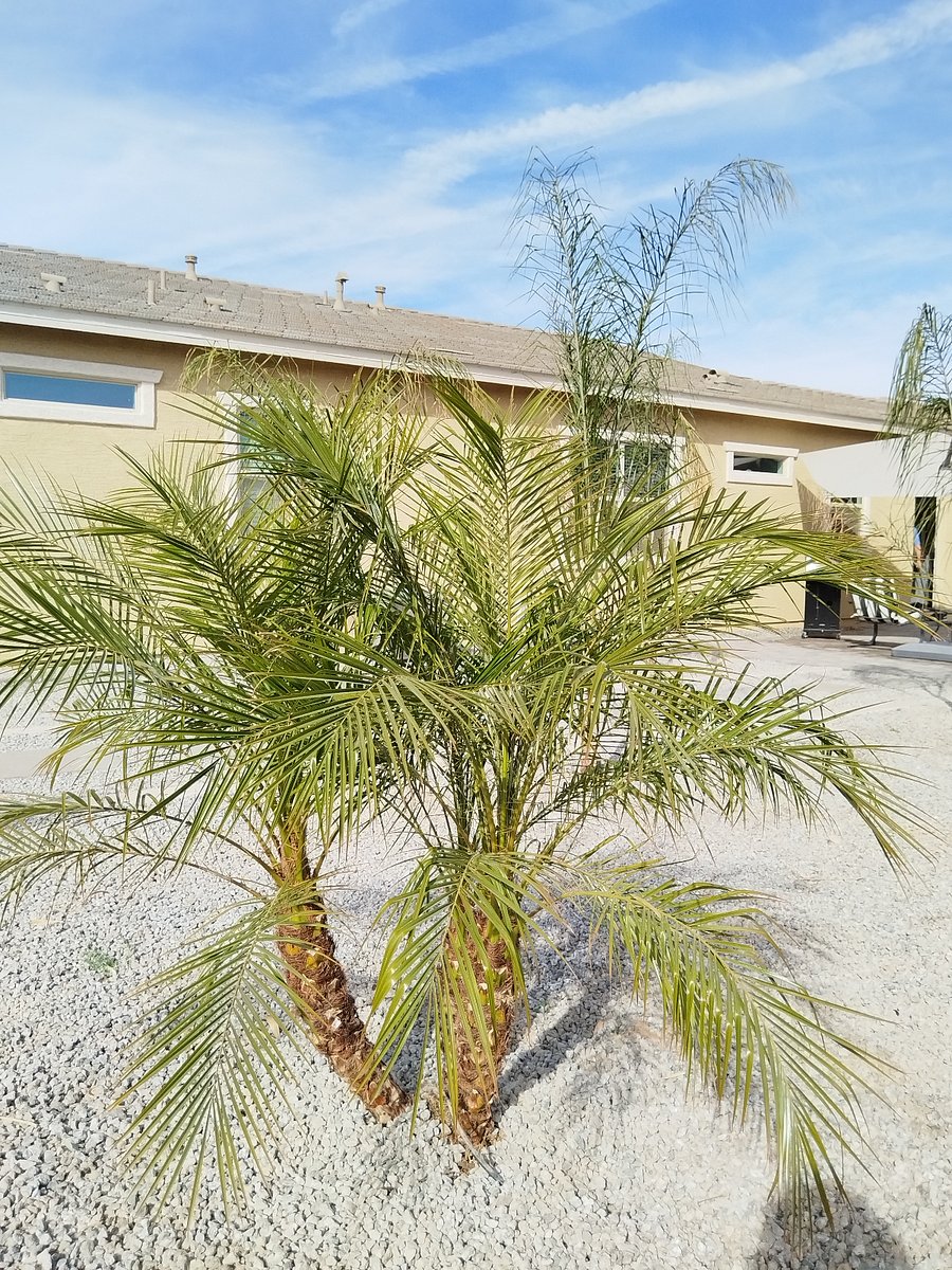Furnished Finder property 348373_2 photo 17