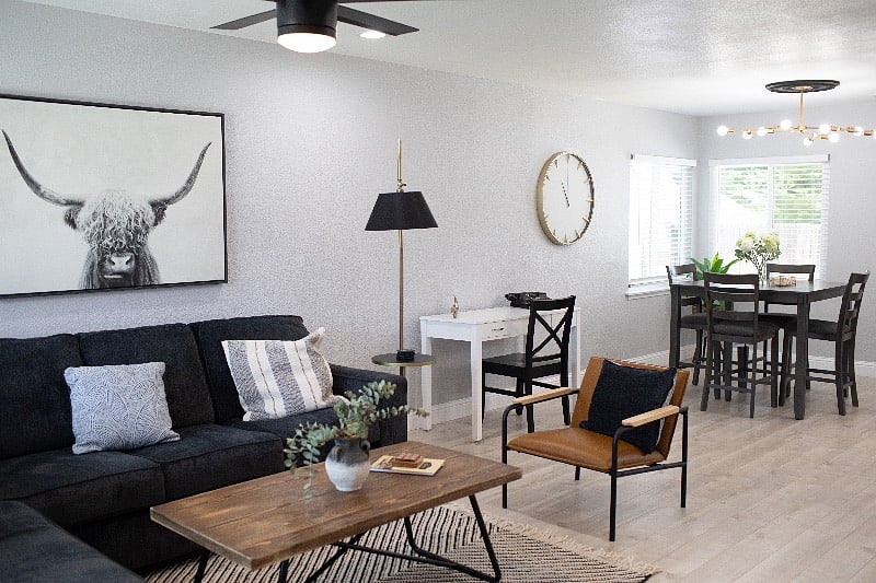 Furnished Finder property 348383_1 photo 4